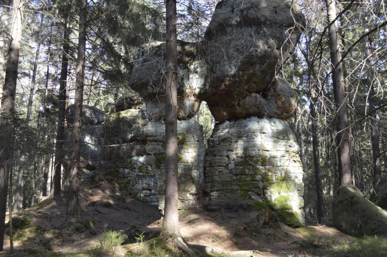 Pokoje Goscinne U Reni Wambierzyce Exterior photo