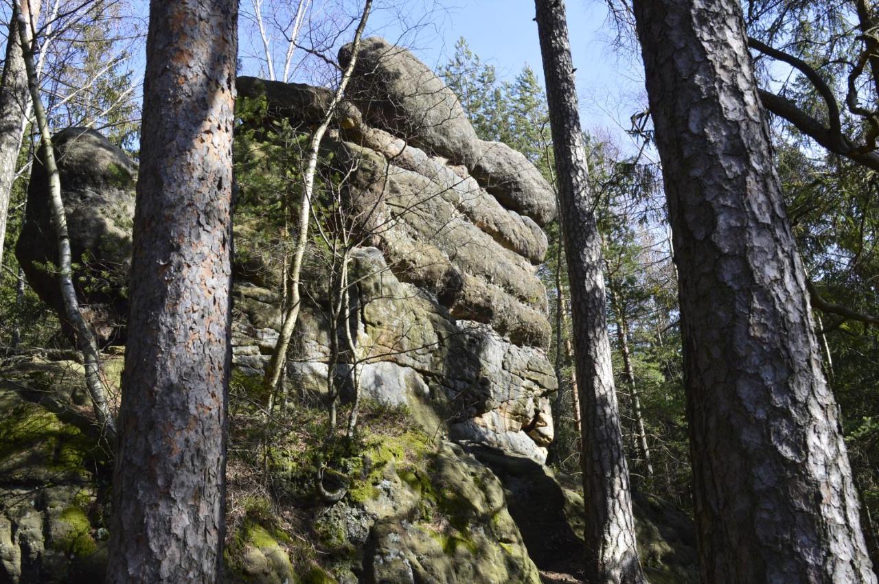 Pokoje Goscinne U Reni Wambierzyce Exterior photo